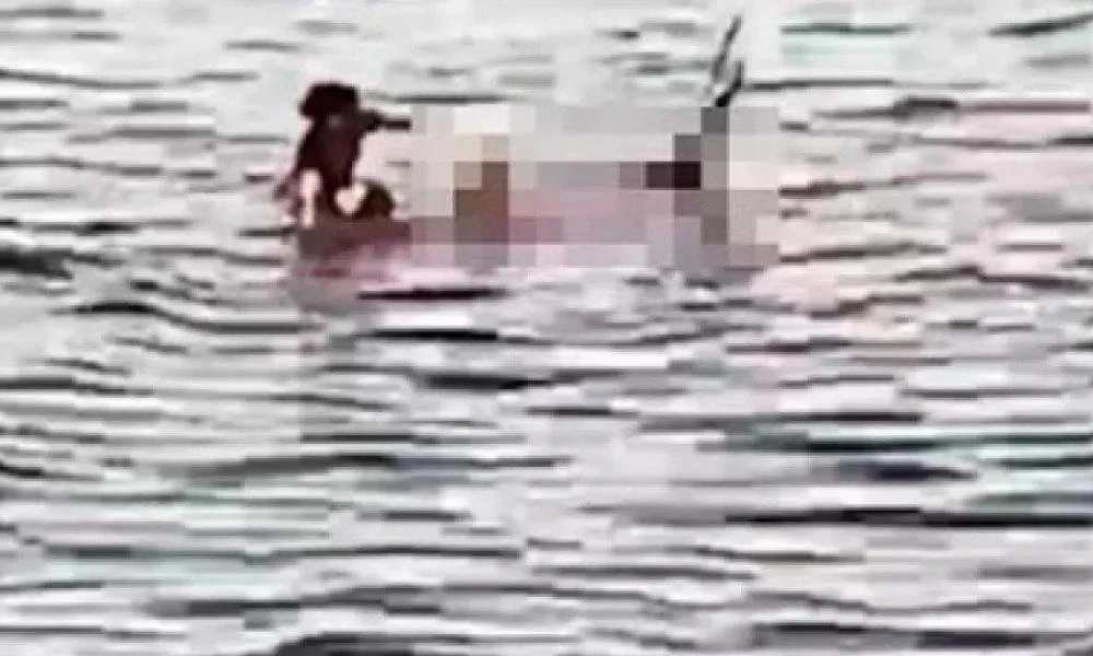 Συνεχίζεται το θρίλερ στην Αίγυπτο: Ακόμη μια τουρίστρια βρήκε τραγικό τέλος σε επίθεση από καρχαρία-Σοκαριστικό βίντεο